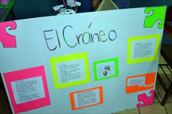 semana de la ciencia2012