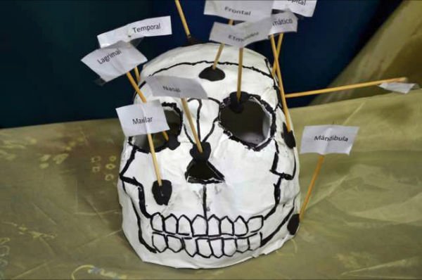 semana de la ciencia2012